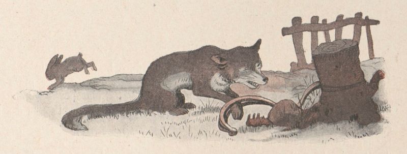 Fichier:Renard 3 Rabier.jpg