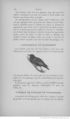 Buffon illustré de la jeunesse - 1893 Gallica page f174.jpg