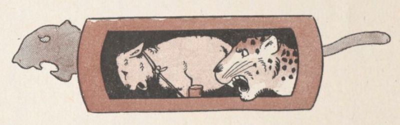 Fichier:Panhère 2 Rabier.jpg