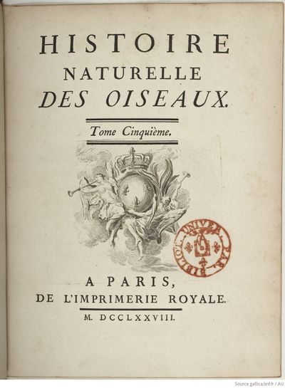 Buffon Hist Nat E.O. Tome 20 f9.jpg
