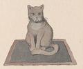 Buffon Rabier Chat image 1.jpg