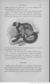 Buffon illustré de la jeunesse - 1893 Gallica page f135.jpg