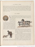Le Buffon choisi de Benjamin Rabier, page f33.jpg