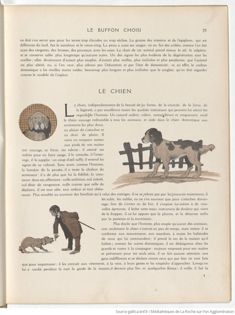 Le Buffon choisi de Benjamin Rabier, page f33.jpg