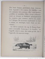 Alphabet illustré des animaux (1862) Doudet f30.jpg