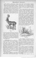 Animaux de nos pays (1909) Coupin, page 65.jpg
