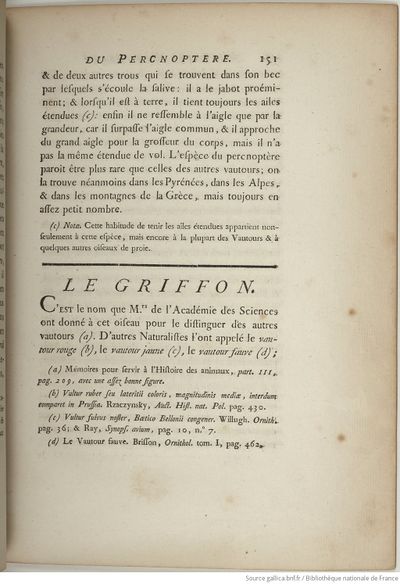 Buffon Hist Nat E.O. Tome 16 f199.jpg