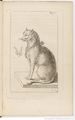 Les chats (1727) Moncrif, page f21.jpg