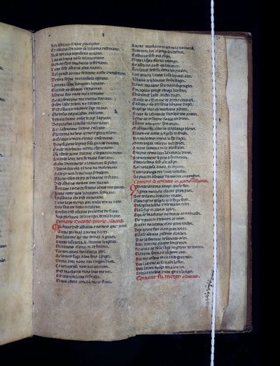 Manuscrit Venise Fr. Z.13 (=256) f 80r.jpeg