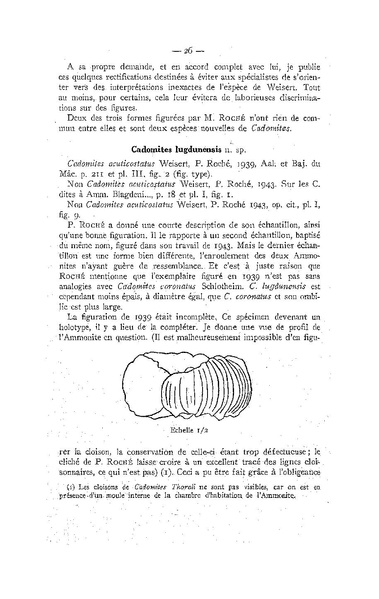 Fichier:ALS 1947 2.pdf