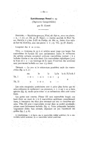 page suivante →