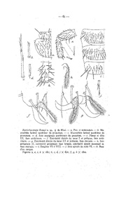 page suivante →