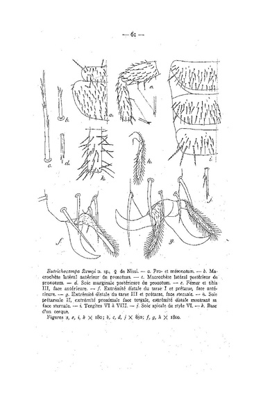 Fichier:ALS 1947 2.pdf