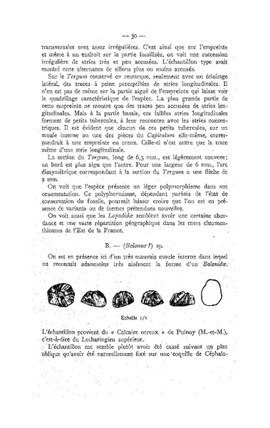 Fichier:ALS 1947 2.pdf