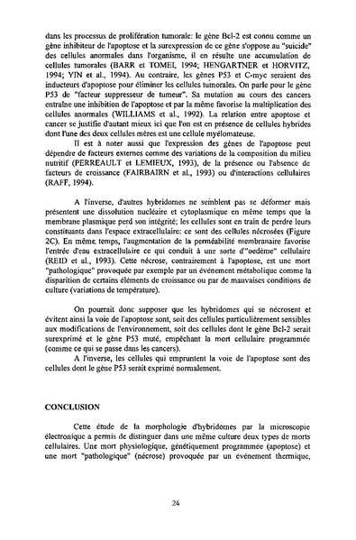 Fichier:ALS 1995 34 1.pdf