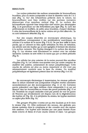 page suivante →