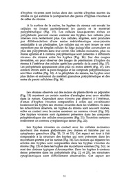 page suivante →