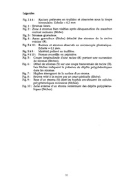 page suivante →