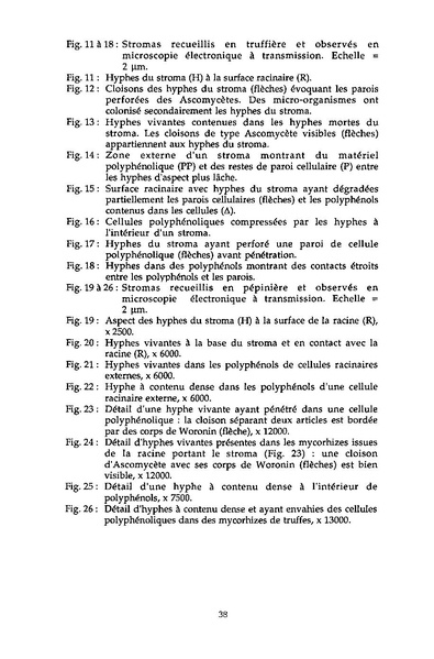 Fichier:ALS 1995 34 1.pdf