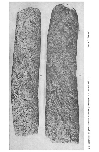 Fichier:ALS 1972 11 3.pdf