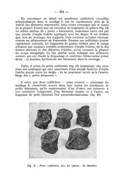 page suivante →