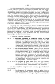 page suivante →