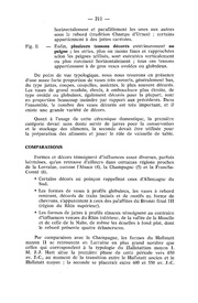 page suivante →