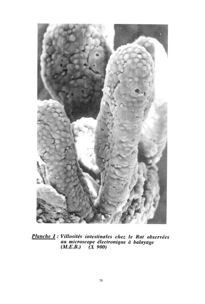Fichier:ALS 1997 36 2.pdf
