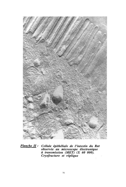 Fichier:ALS 1997 36 2.pdf