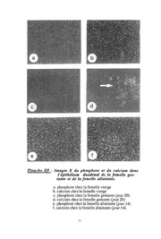 page suivante →