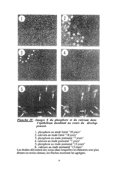 Fichier:ALS 1997 36 2.pdf