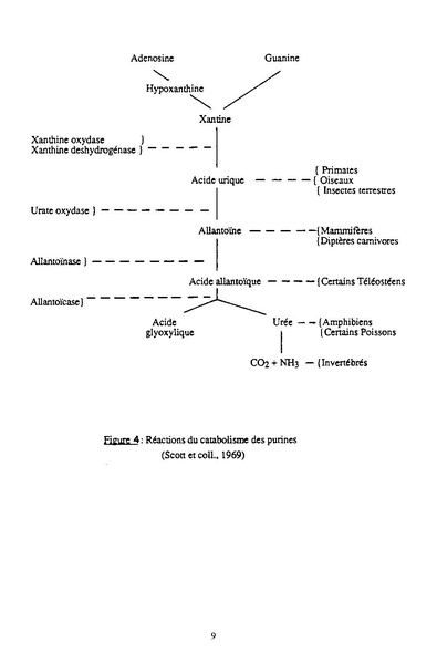 Fichier:ALS 1992 31 1.pdf