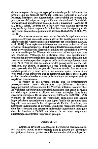 Fichier:ALS 1992 31 1.pdf