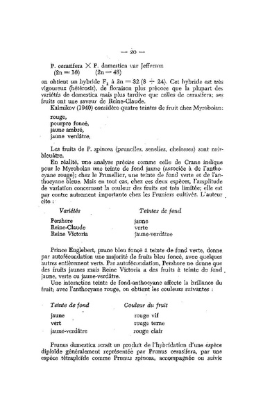 Fichier:ALS 1955 4.pdf
