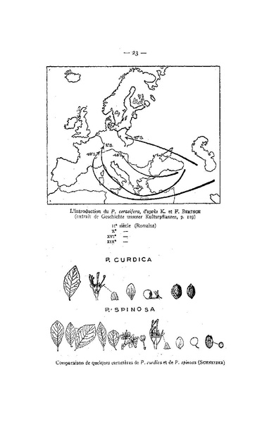 Fichier:ALS 1955 4.pdf