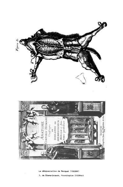 Fichier:ALS 1988 27 3.pdf