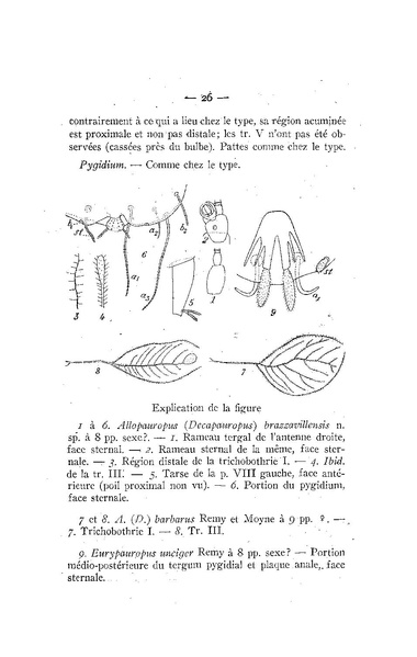 Fichier:ALS 1962 1.pdf