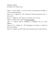 page suivante →