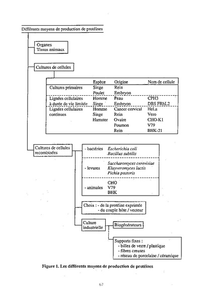 Fichier:ALS 1993 32 2.pdf