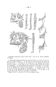 page suivante →