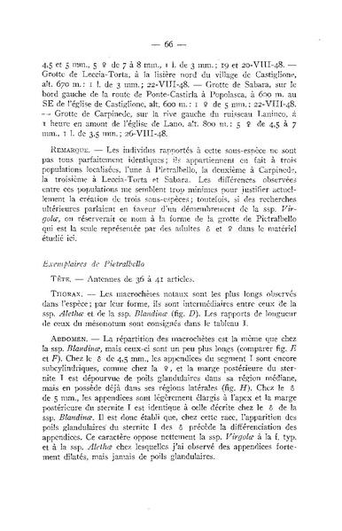 Fichier:ALS 1948 3.pdf