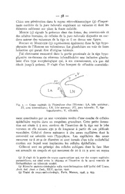 page suivante →