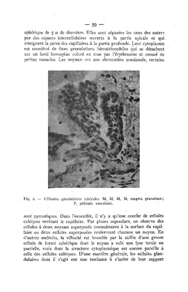 Fichier:ALS 1948 3.pdf