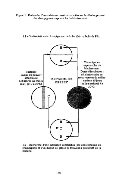 Fichier:ALS 1996 35 3.pdf