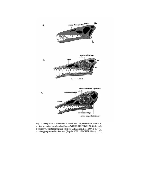 Fichier:ALS 2000 39 test Delsate39.pdf