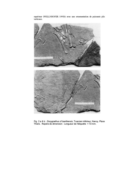 Fichier:ALS 2000 39 test Delsate39.pdf