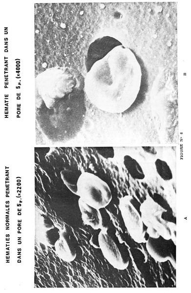 Fichier:ALS 1979 18 2.pdf