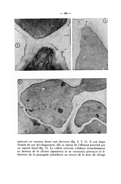 Fichier:ALS 1974 13 2.pdf