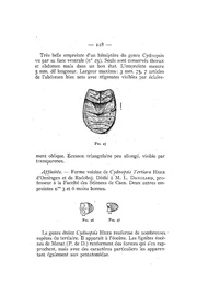 page suivante →