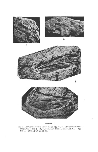Fichier:ALS 1939 4bisop.pdf